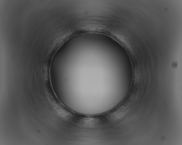 X0000091170453200708231509