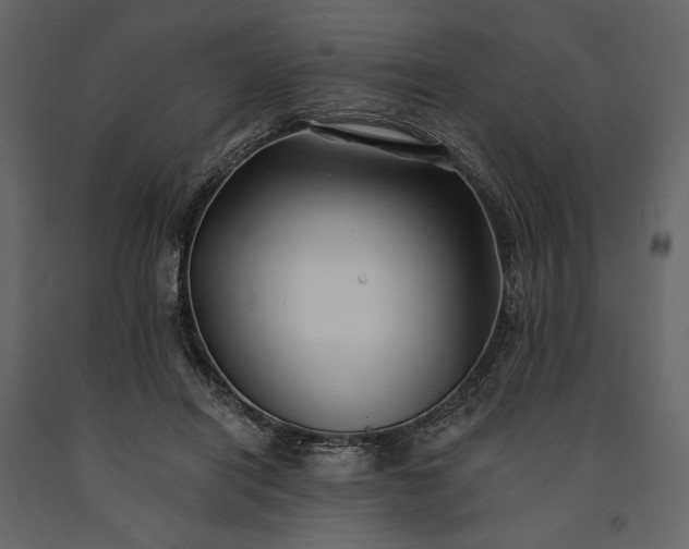 X0000091170454200708231509