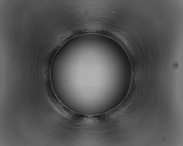 X0000091170455200708231509