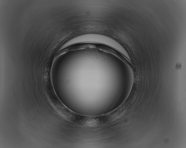 X0000091170456200708231509