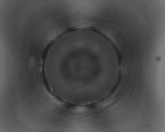 X0000091170458200708231509