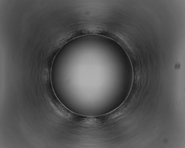 X0000091170459200708231509