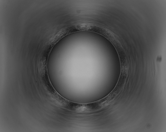 X0000091170460200708231509