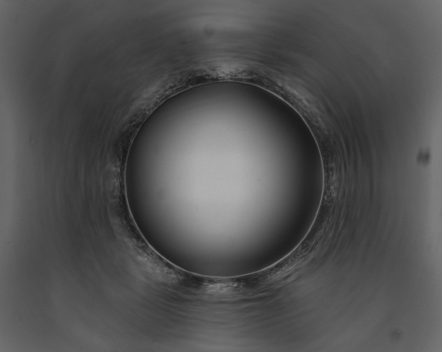 X0000091170461200708231509