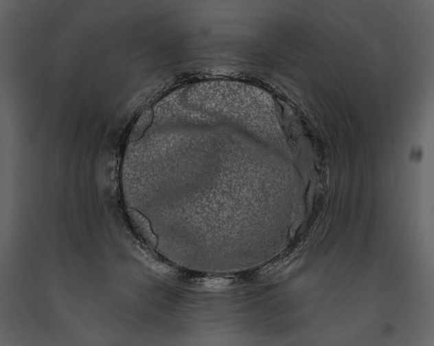 X0000091170462200708231509