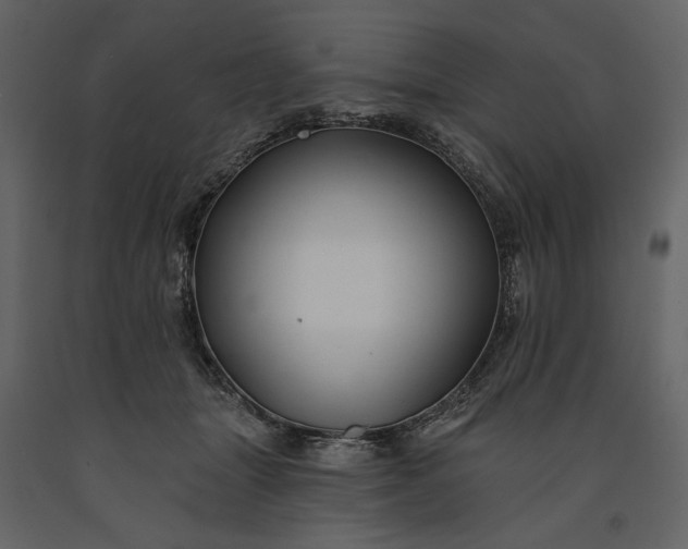 X0000091170463200708231509