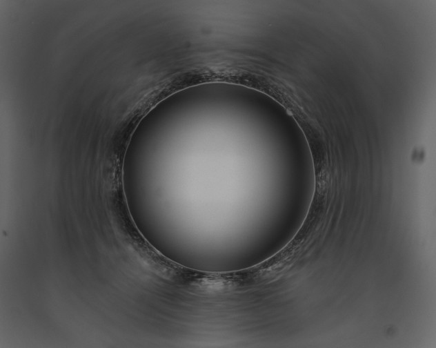 X0000091170464200708231509