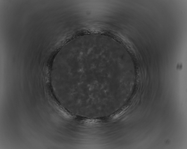 X0000091170465200708231509