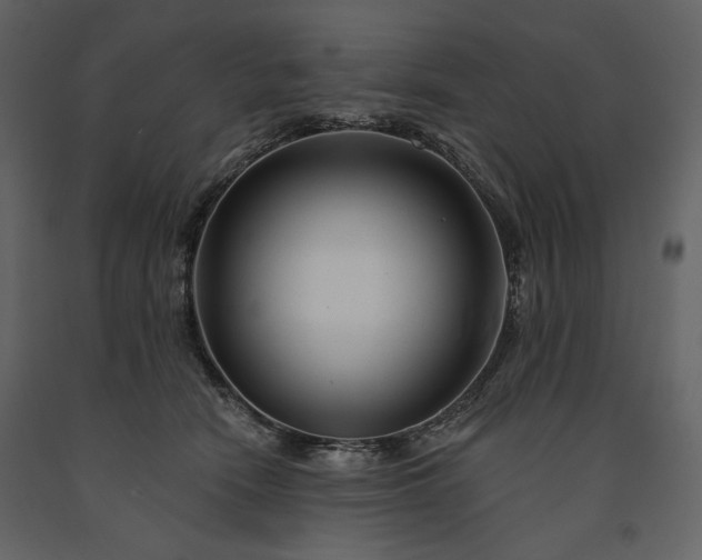 X0000091170466200708231509