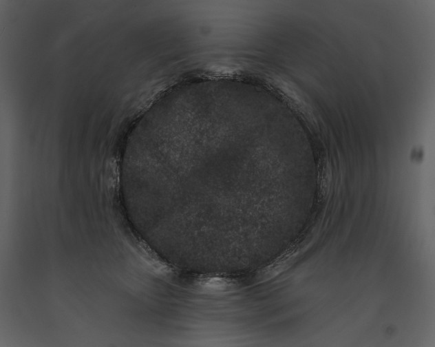 X0000091170467200708231509