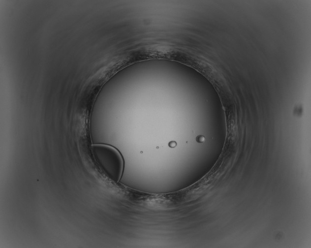 X0000091170468200708231509