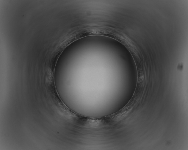 X0000091170469200708231509