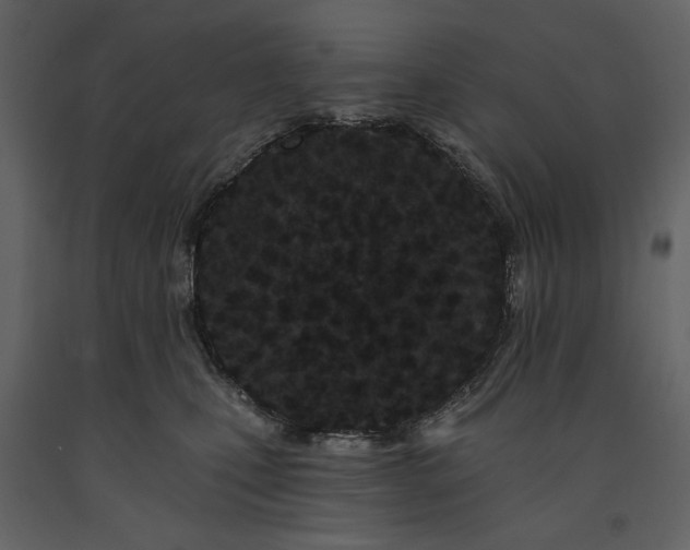 X0000091170471200708231509