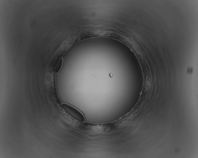 X0000091170473200708231509