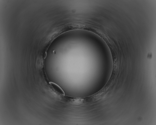 X0000091170474200708231509