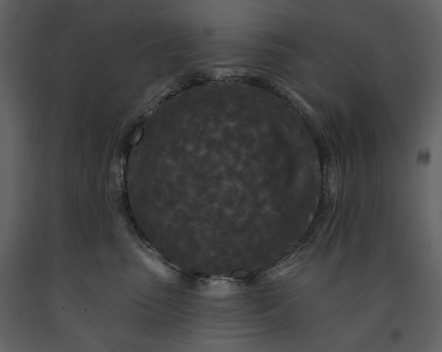 X0000091170475200708231509