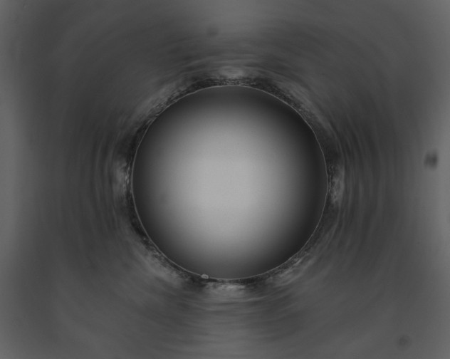 X0000091170476200708231509