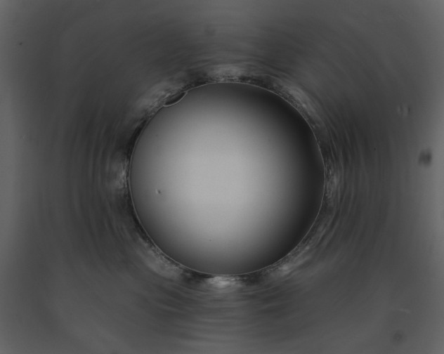 X0000091170477200708231509