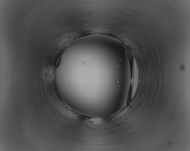 X0000091170478200708231509