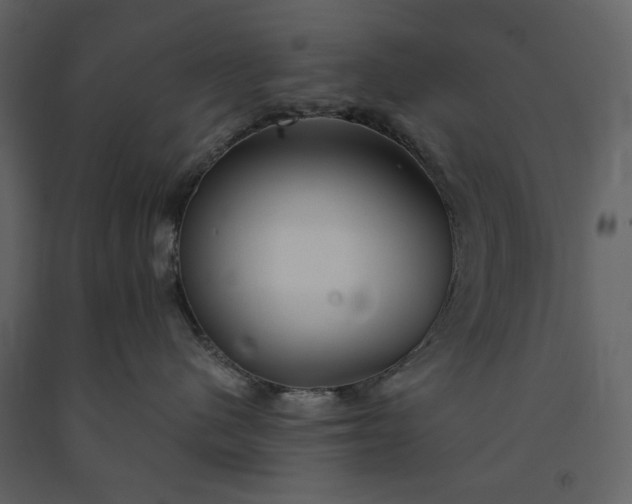 X0000091170480200708231509