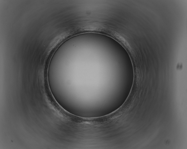 X0000091170482200708231509