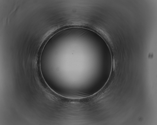 X0000091170483200708231509