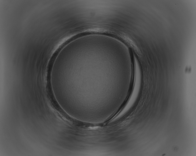 X0000091170484200708231509