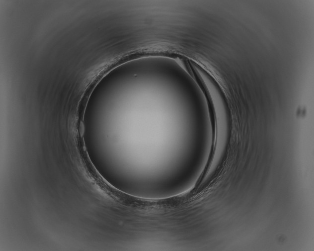 X0000091170485200708231509