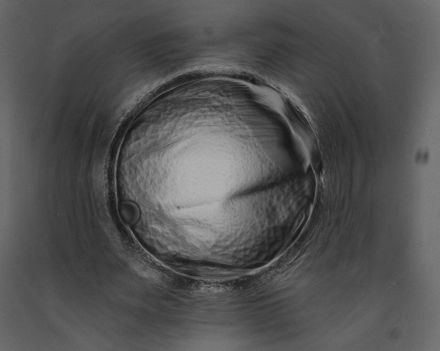 X0000091170487200708231509