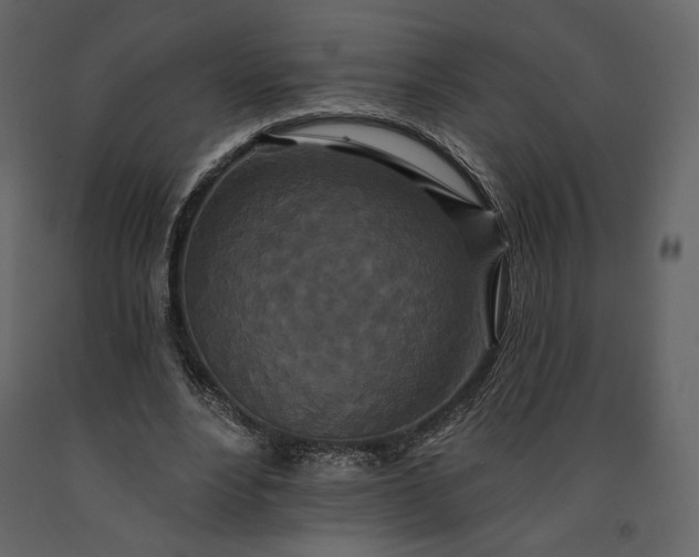 X0000091170488200708231509