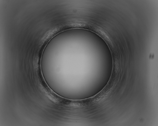 X0000091170490200708231509