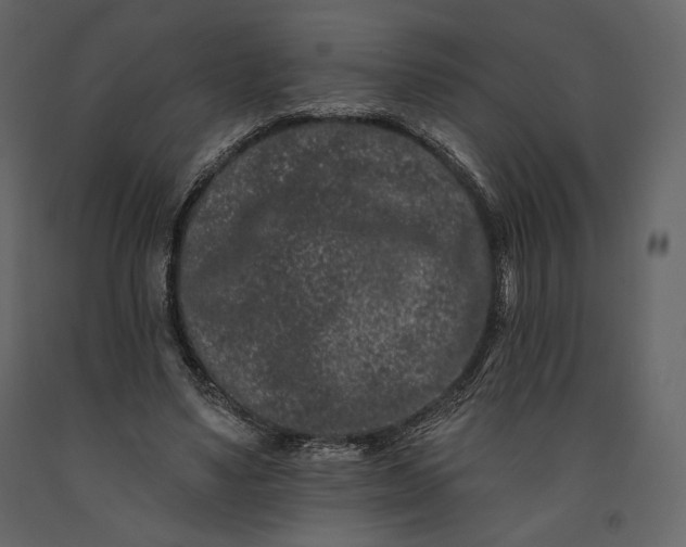 X0000091170491200708231509