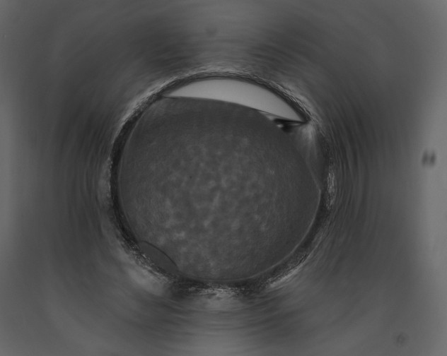 X0000091170492200708231509