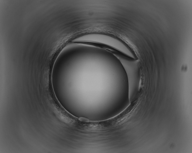 X0000091170493200708231509