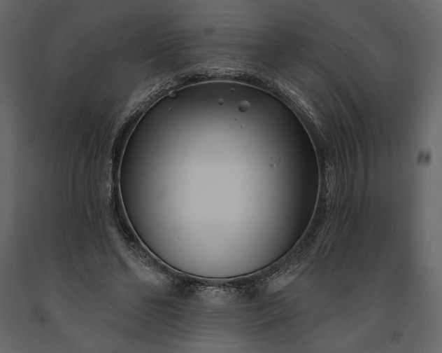 X0000091170494200708231509