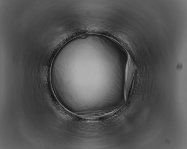 X0000091170495200708231509