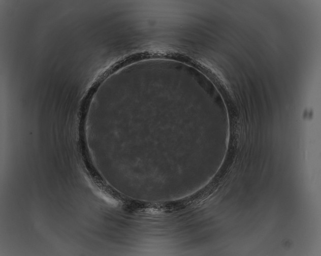 X0000091170496200708231509