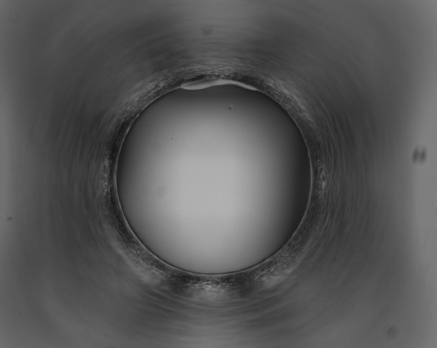 X0000091170498200708231508