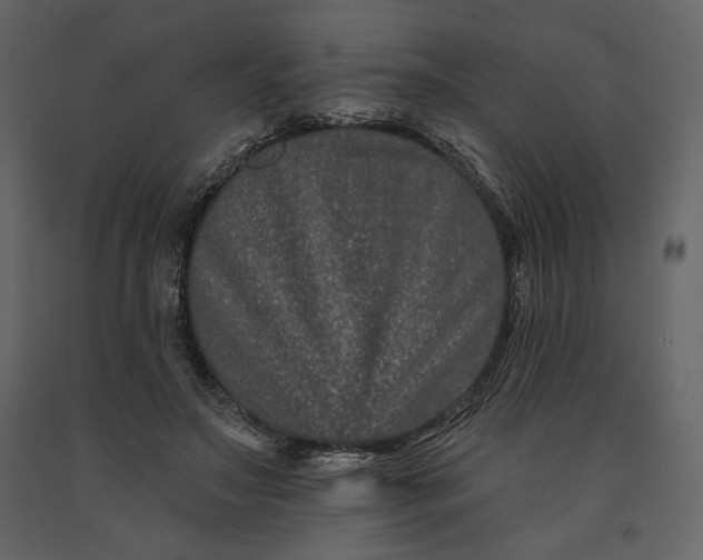 X0000091170499200708231508