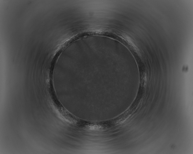 X0000091170500200708231508