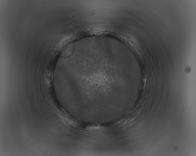 X0000091170503200708231508