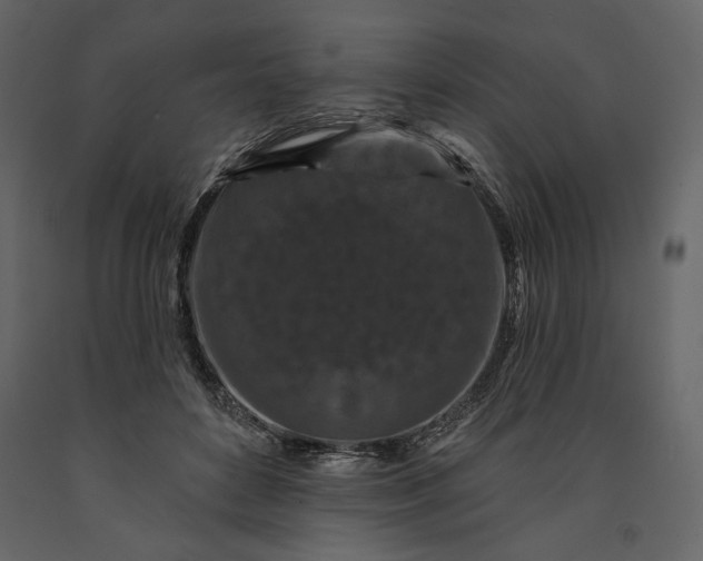 X0000091170504200708231508