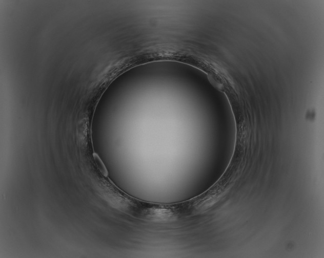 X0000091170509200708231508