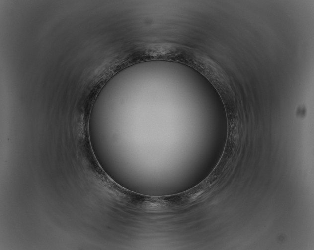 X0000091170510200708231508