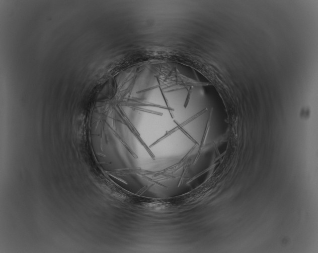 X0000091170511200708231508