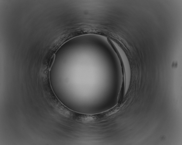 X0000091170513200708231508