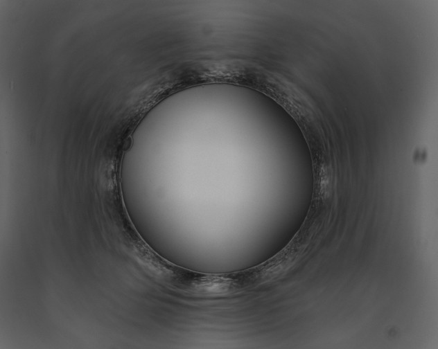 X0000091170514200708231508