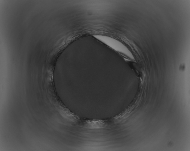 X0000091170517200708231508