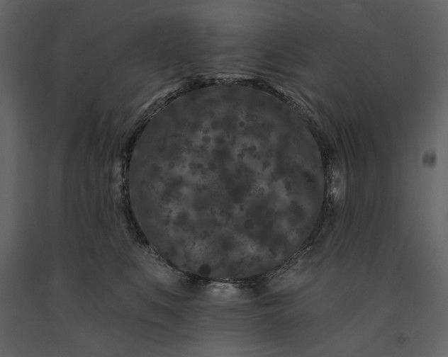 X0000091170519200708231508