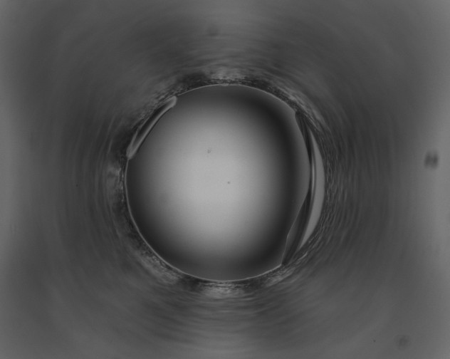 X0000091170521200708231508